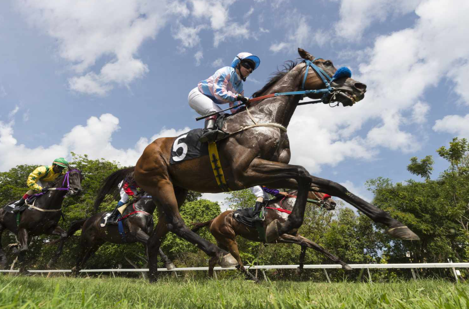 Understanding the Different Types of Horse Races