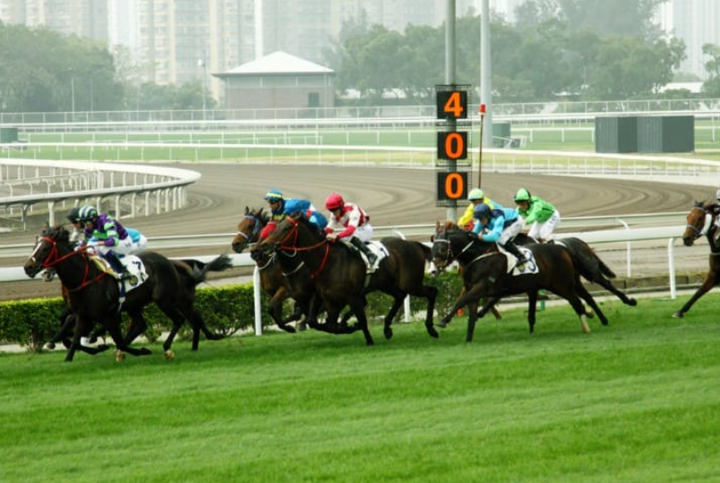 Understanding the Role of Stewards in Horse Racing