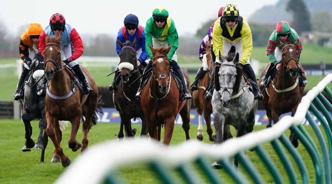 What Makes a Horse Race Day Special?