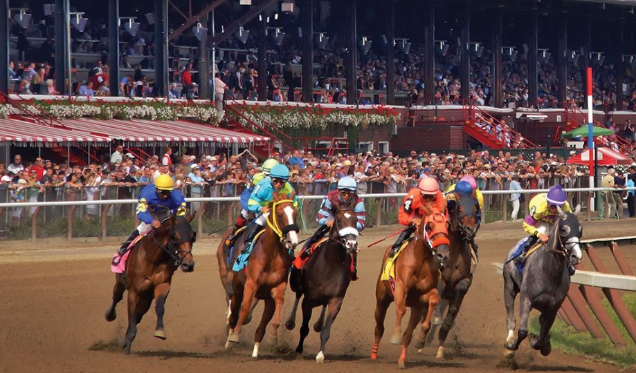 Why Horse Racing Is a Thrilling Experience for Fans