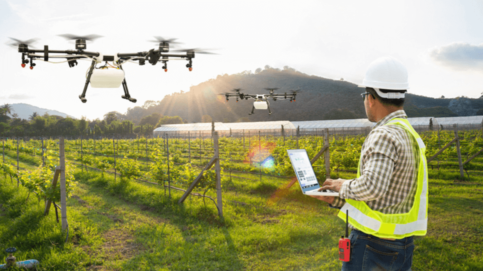 Why Tech Will Be Central to Solving Global Food Security