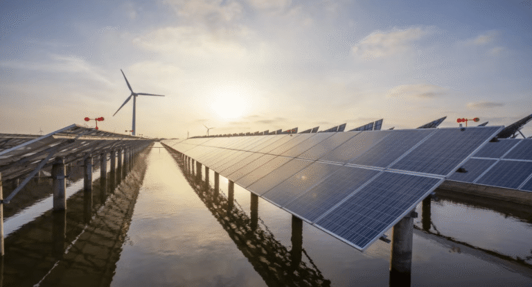 Why Tech Giants Are Investing in Renewable Energy